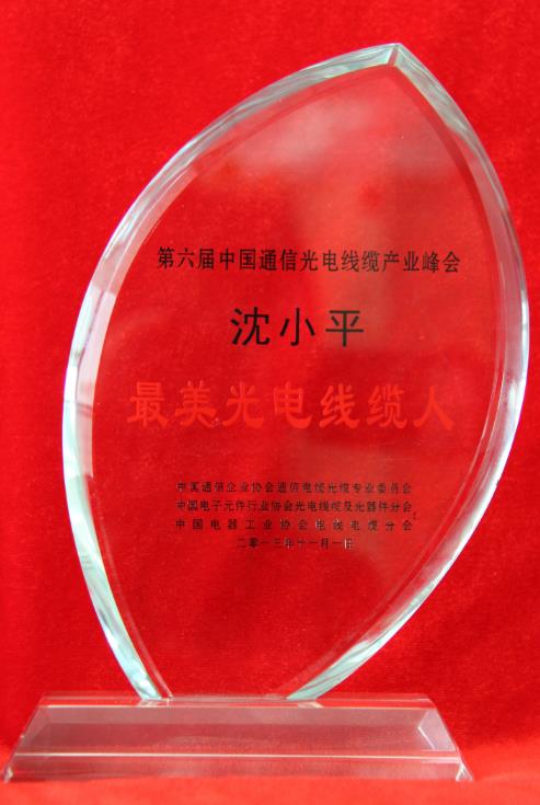 董事長(cháng)沈小平榮獲“最美光電線(xiàn)纜人”稱(chēng)號
