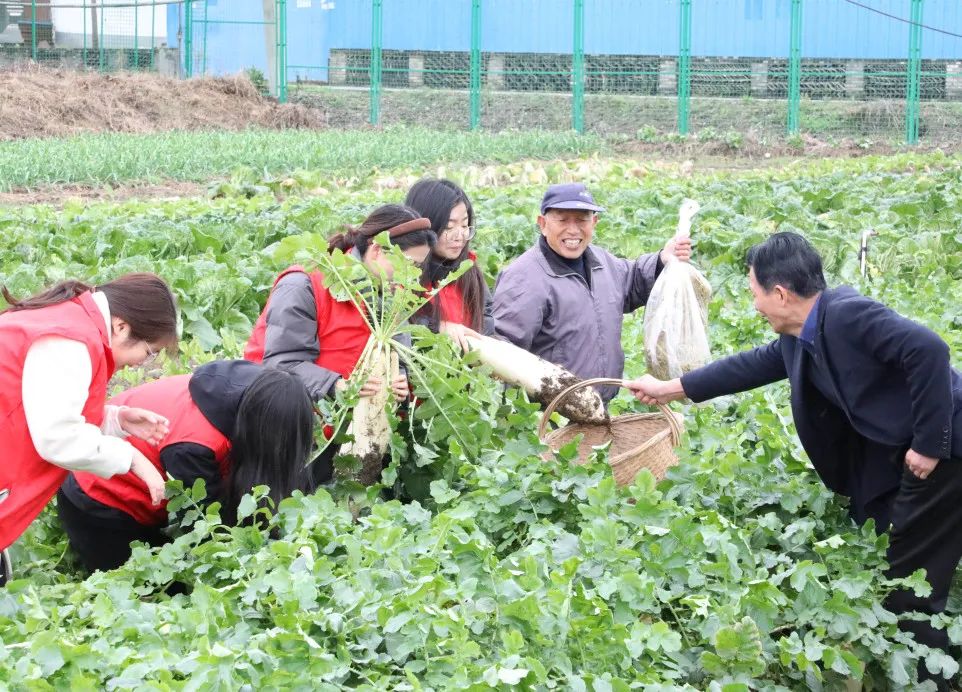 讓員工吃上放心菜│“通鼎愛(ài)心菜籃子”工程啟動(dòng)