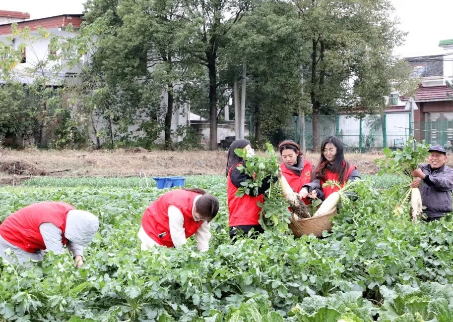 讓員工吃上放心菜│“通鼎愛(ài)心菜籃子”工程啟動(dòng)