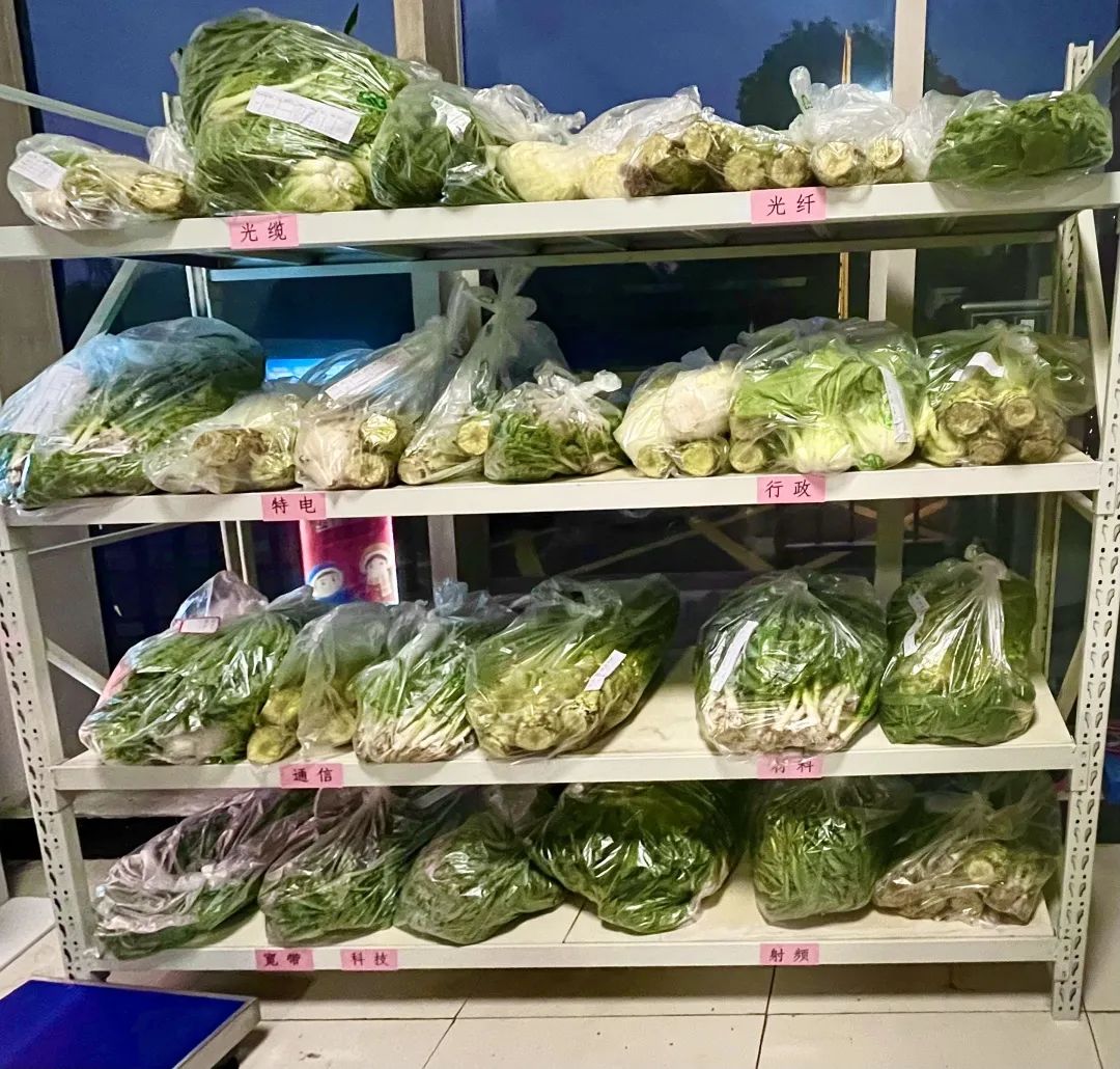 讓員工吃上放心菜│“通鼎愛(ài)心菜籃子”工程啟動(dòng)