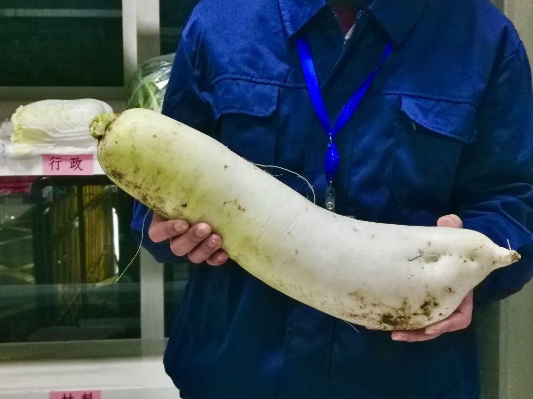 讓員工吃上放心菜│“通鼎愛(ài)心菜籃子”工程啟動(dòng)