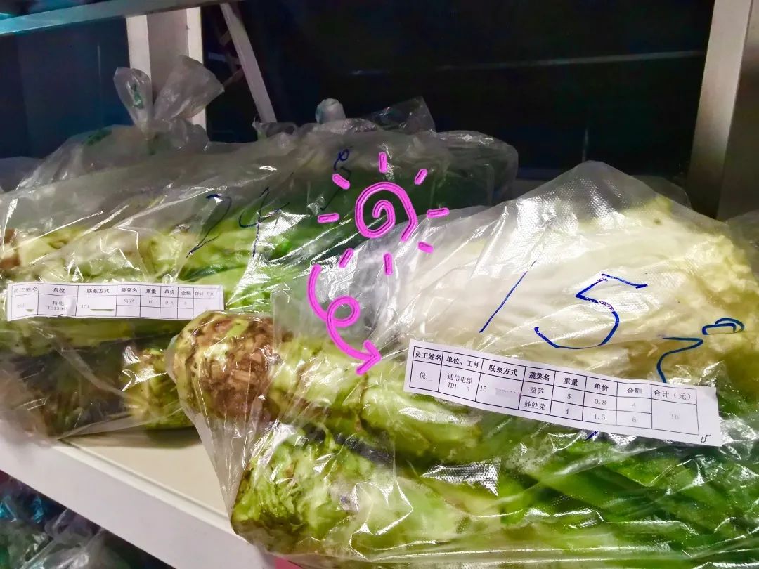 讓員工吃上放心菜│“通鼎愛(ài)心菜籃子”工程啟動(dòng)