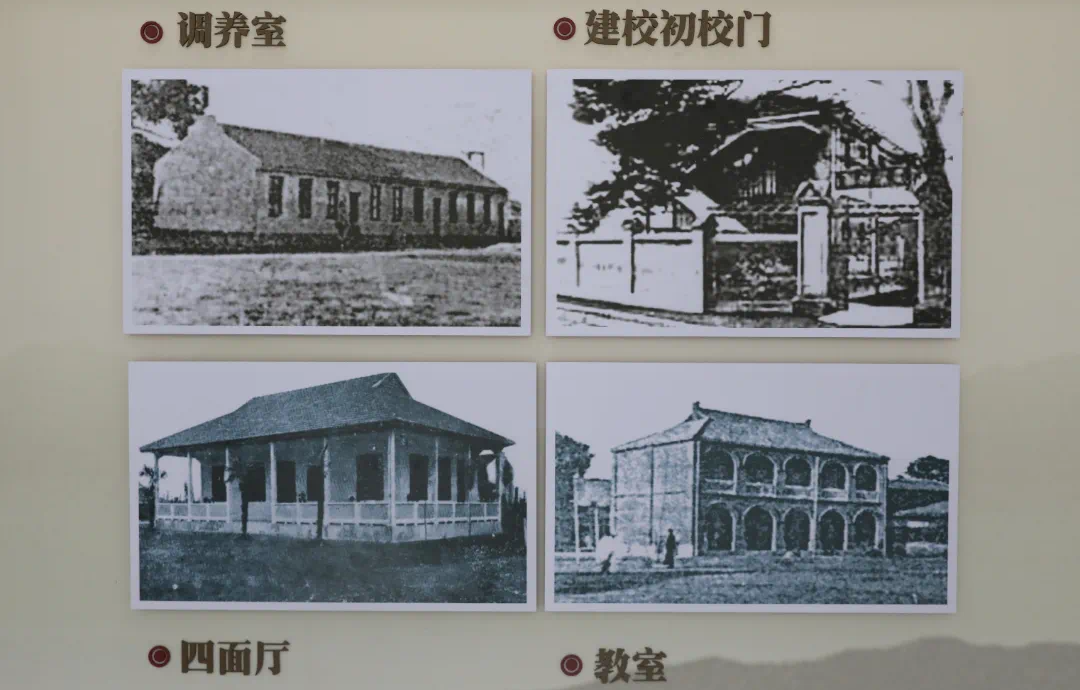 情系家鄉教育∣通鼎集團向震澤中學(xué)捐贈1000萬(wàn)元