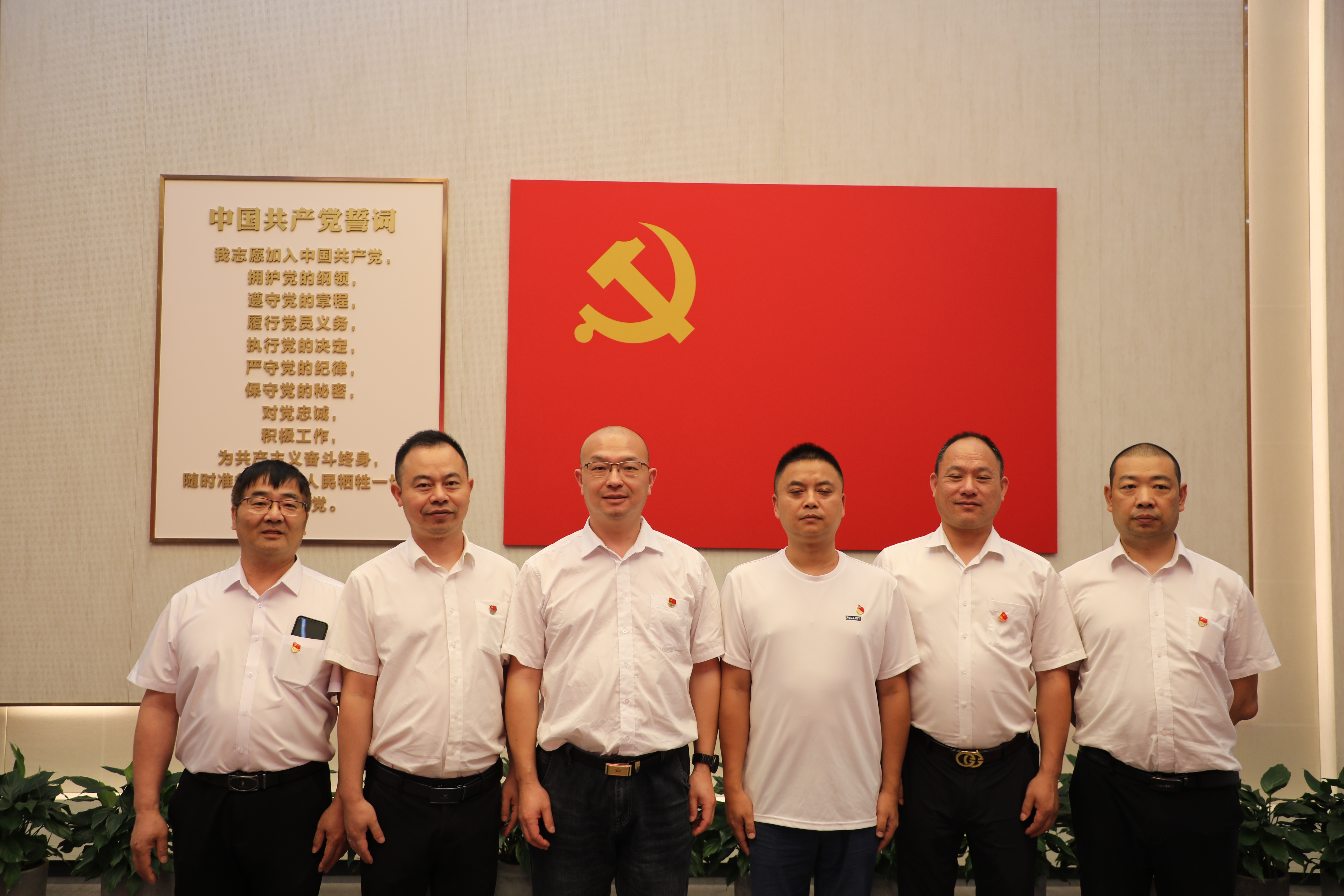 黨建引領(lǐng)聚合力│通鼎集團慶“七一”黨建系列活動(dòng)圓滿(mǎn)完成